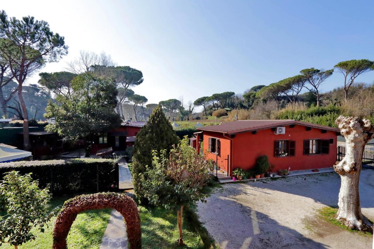 Antico Platano Bed & Breakfast Rome Exterior photo